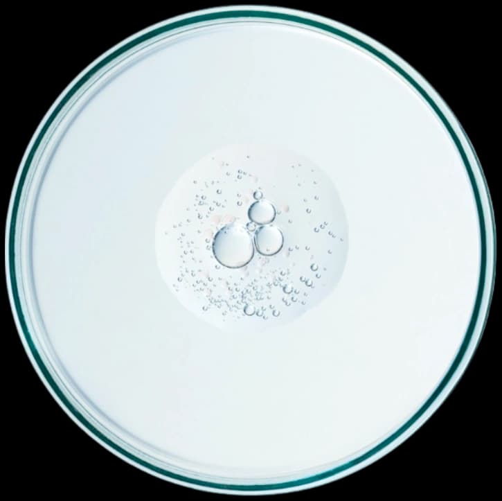 Petri dish with peptide solution
