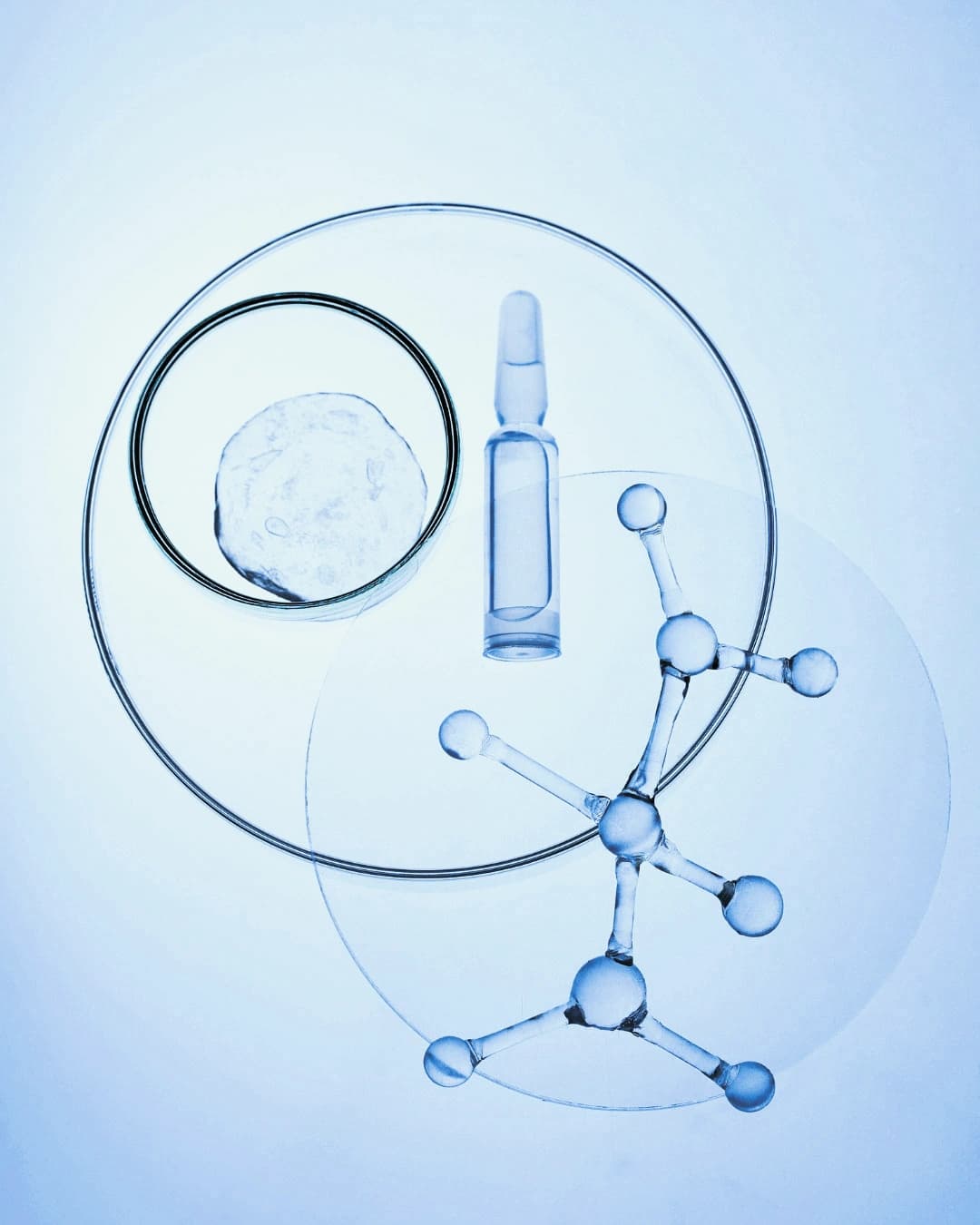 Regenerative & Longevity Formulas